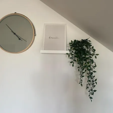 Casa Marla Mit 3 Schlafzimmern Und 2 Badezimmern * プエルト・カレロ